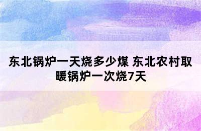 东北锅炉一天烧多少煤 东北农村取暖锅炉一次烧7天